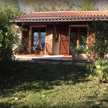 Le Gite De Gascogne Lectoure Exteriör bild