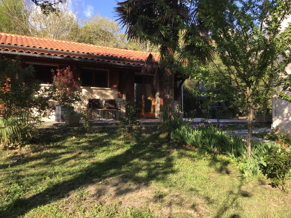 Le Gite De Gascogne Lectoure Exteriör bild