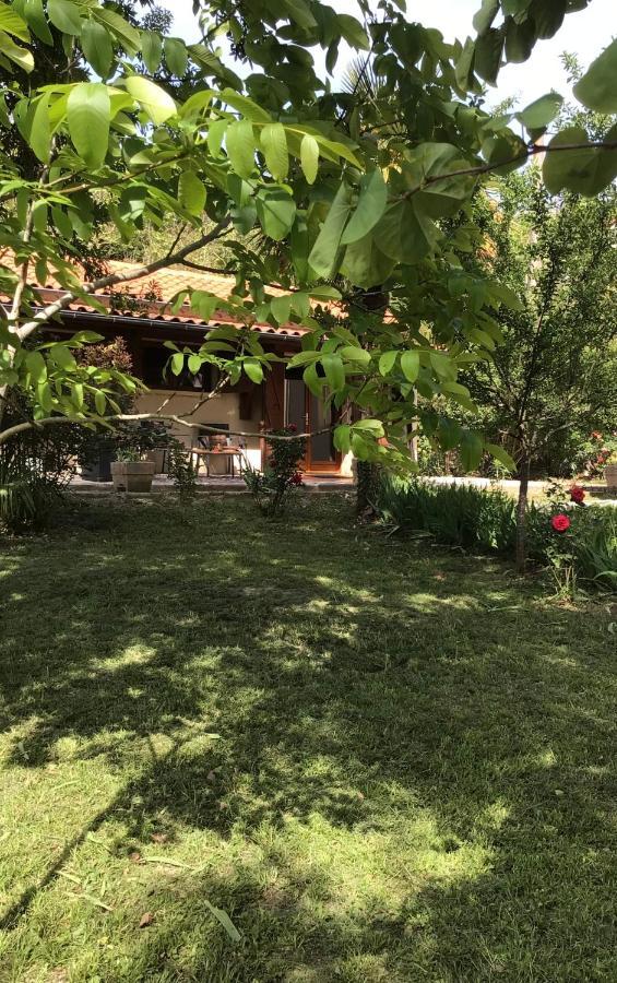 Le Gite De Gascogne Lectoure Exteriör bild