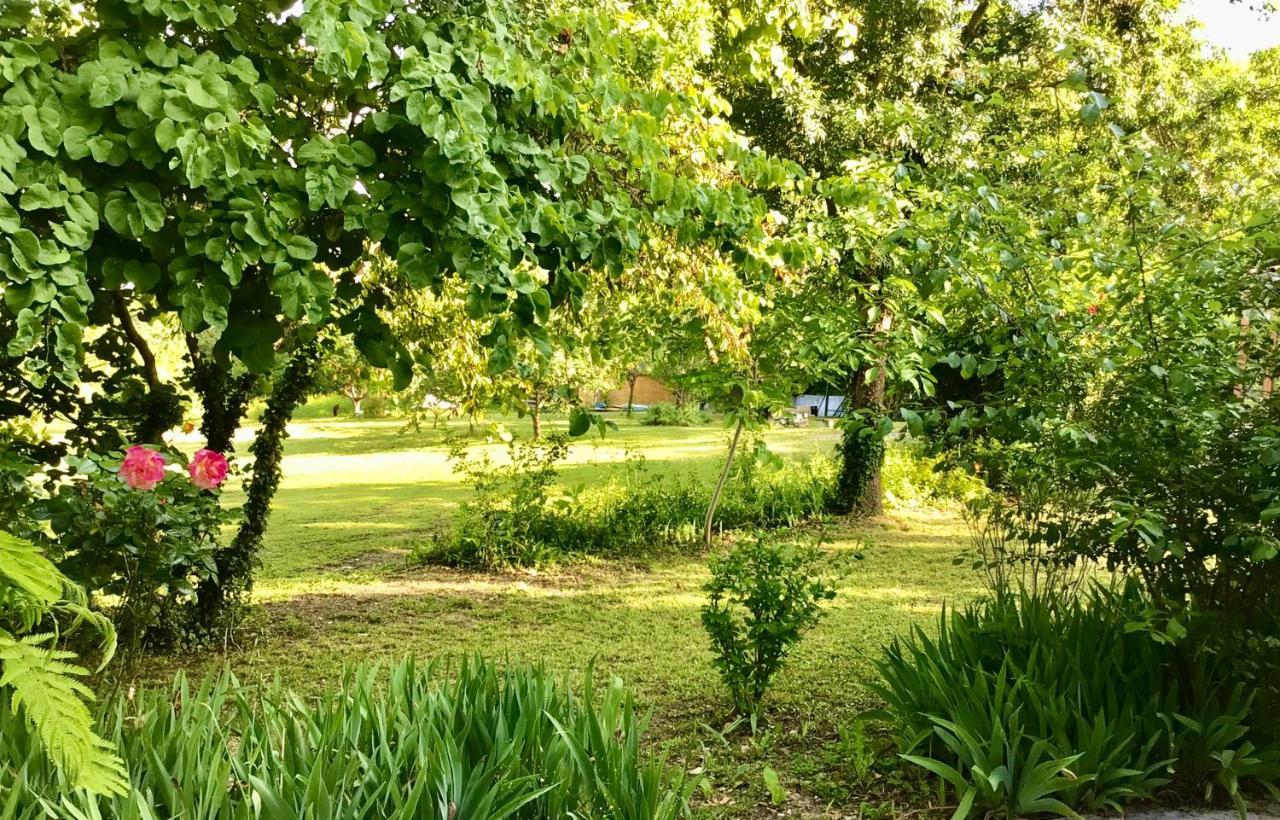 Le Gite De Gascogne Lectoure Exteriör bild