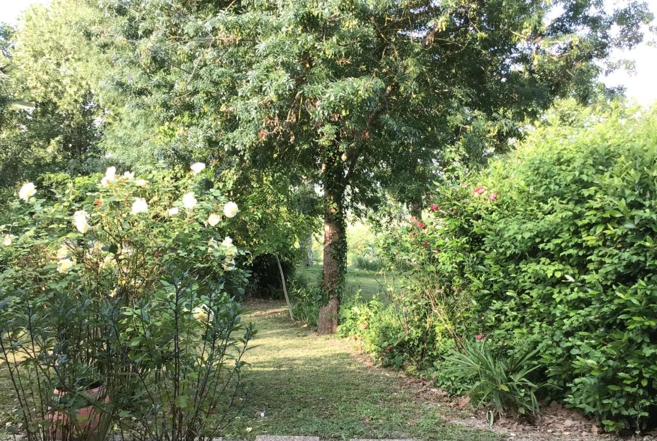 Le Gite De Gascogne Lectoure Exteriör bild